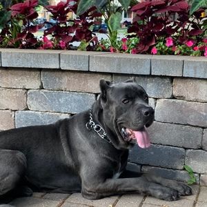 Meet your Posher, Keneatha